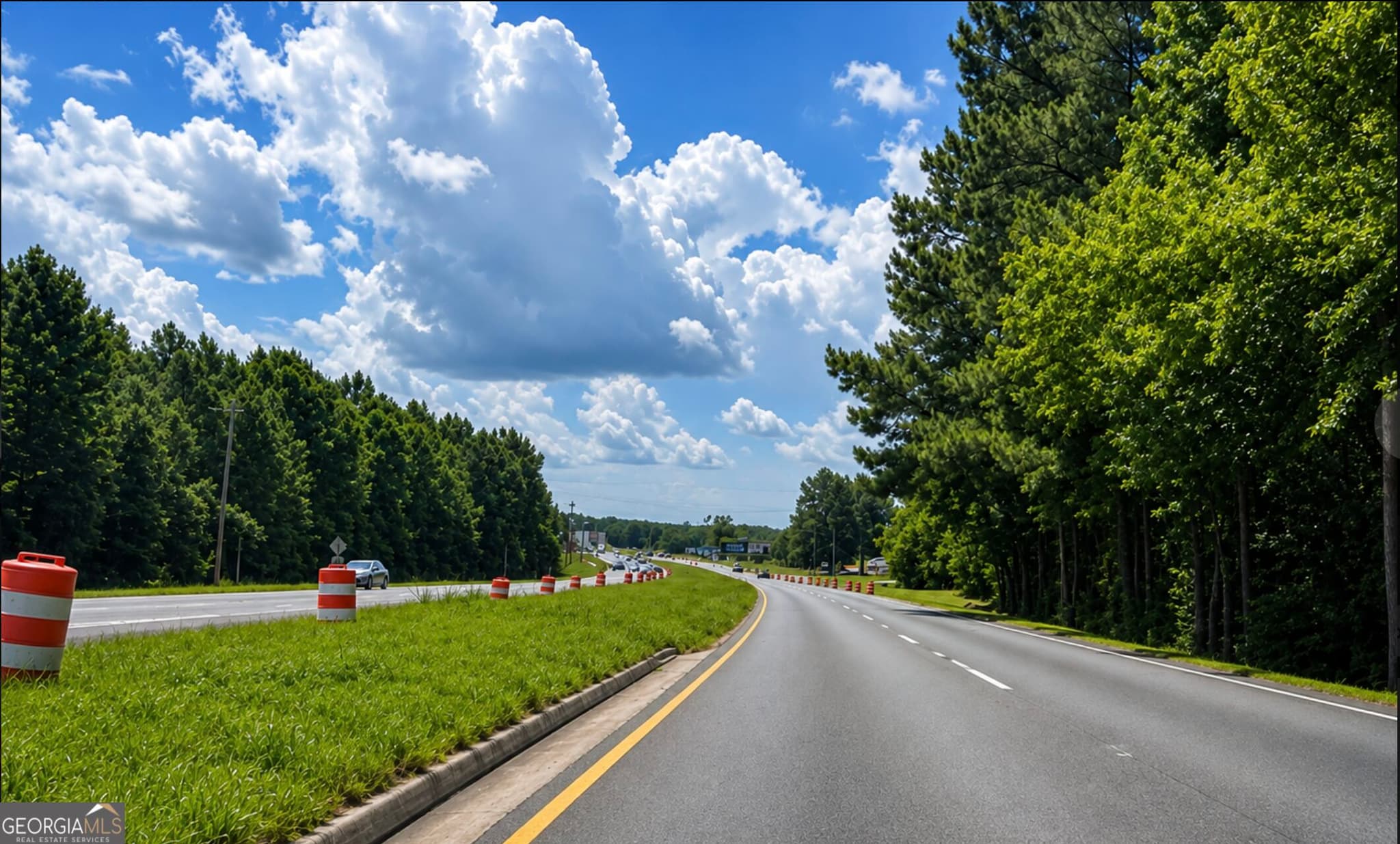 commercial for sale at 0 19 41 Highway, Hampton, GA 30228 — photo 5