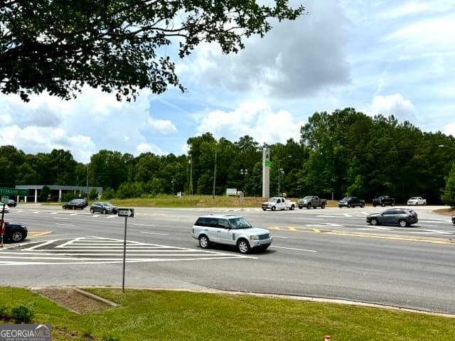commercial for sale at 0 19 41 Highway, Hampton, GA 30228 — photo 4