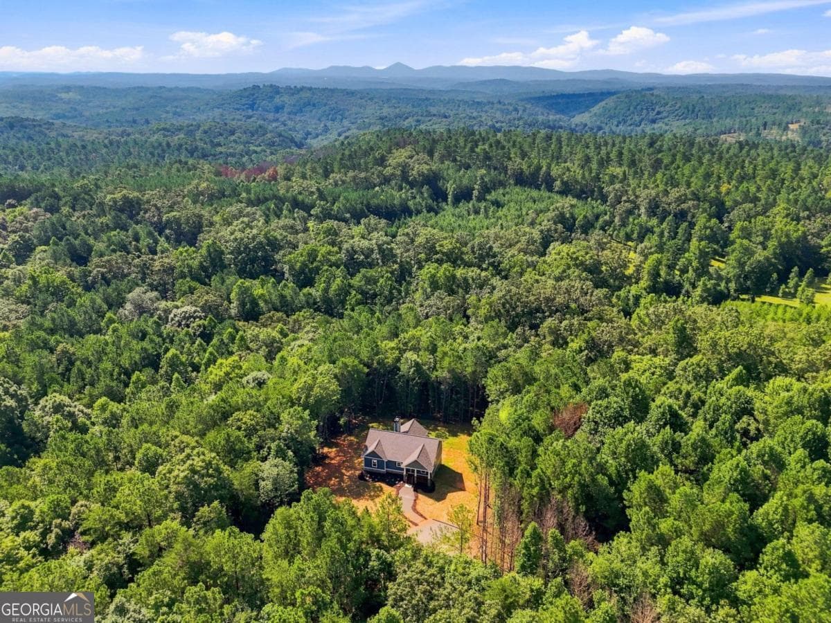 4 bedroom, 3 bathroom, 2,880 sq ft single family residence for sale at 590 Old Shyers Ford Road, Talking Rock, GA 30175 — photo 3
