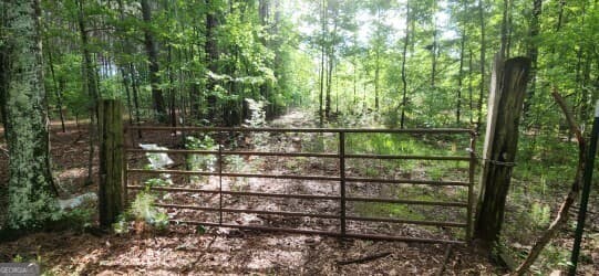 agriculture for sale at 678 Seabolt Road, Locust Grove, GA 30248 — photo 9