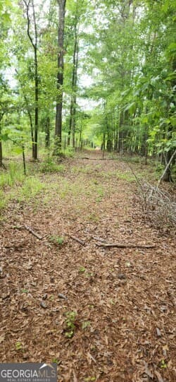 agriculture for sale at 678 Seabolt Road, Locust Grove, GA 30248 — photo 10