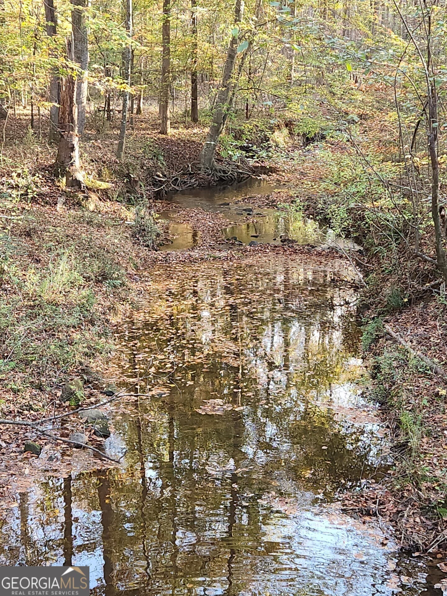 agriculture for sale at 678 Seabolt Road, Locust Grove, GA 30248 — photo 4