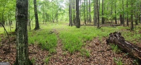 agriculture for sale at 678 Seabolt Road, Locust Grove, GA 30248 — photo 8