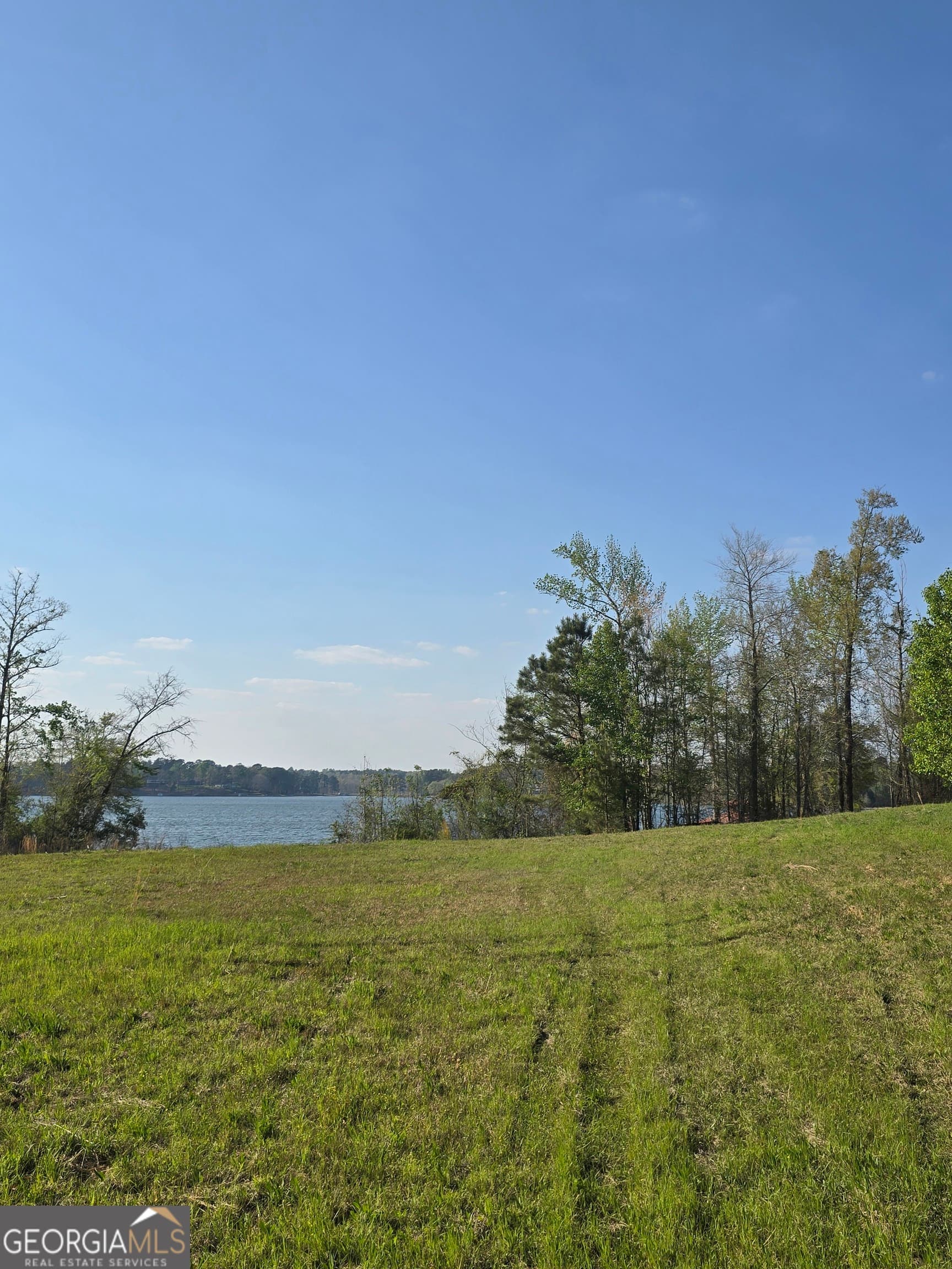 residential lot for sale at 2336 Grand Harbour Drive, Lizella, GA 31052 — photo 2