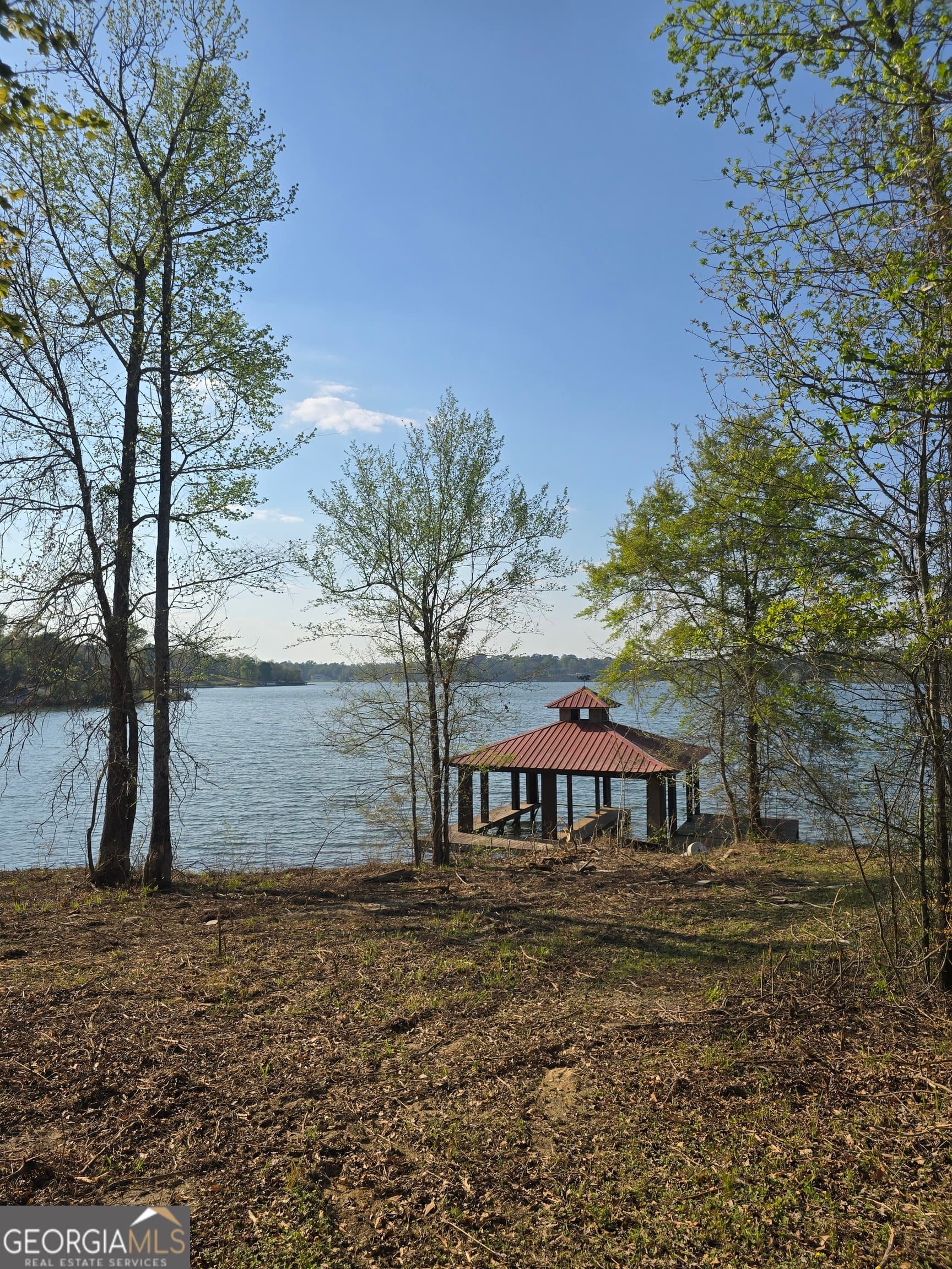 residential lot for sale at 2336 Grand Harbour Drive, Lizella, GA 31052 — photo 3