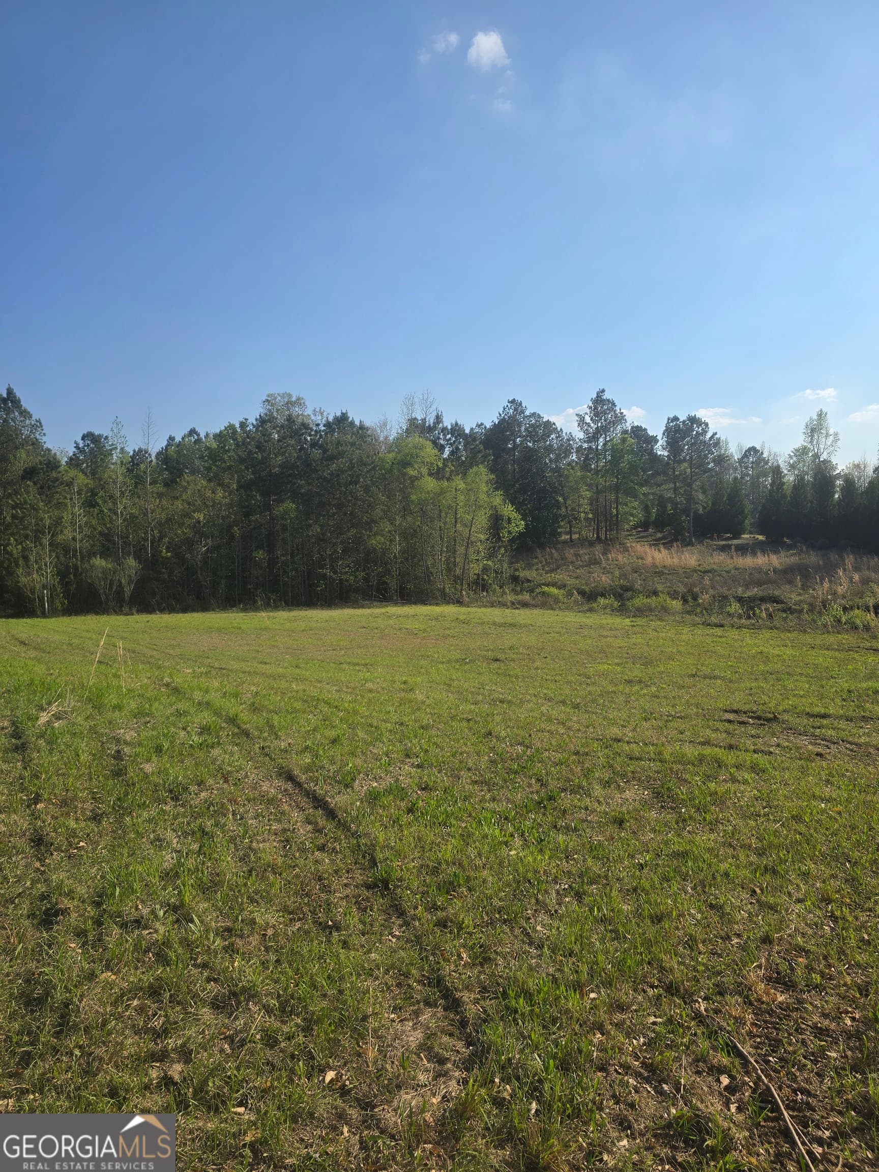 residential lot for sale at 2336 Grand Harbour Drive, Lizella, GA 31052 — photo 5