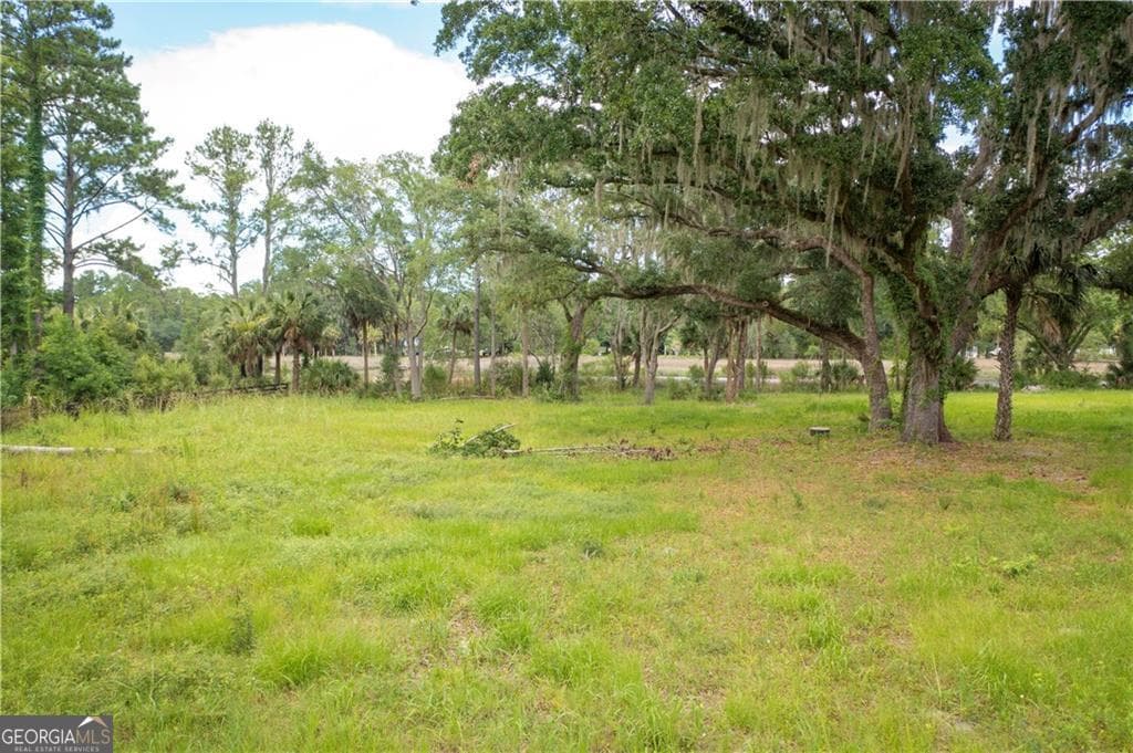 residential lot for sale at 1143 River Oaks Road, Brunswick, GA 31523 — photo 3