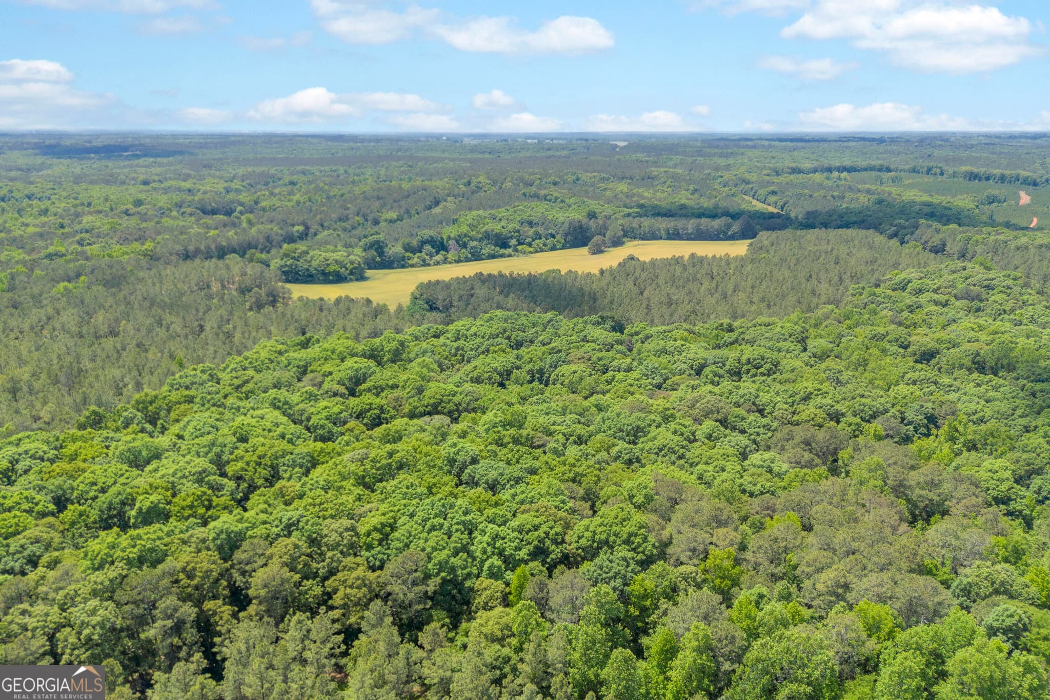 agriculture for sale at 0 Pitts Chapel, Newborn, GA 30056 — photo 3