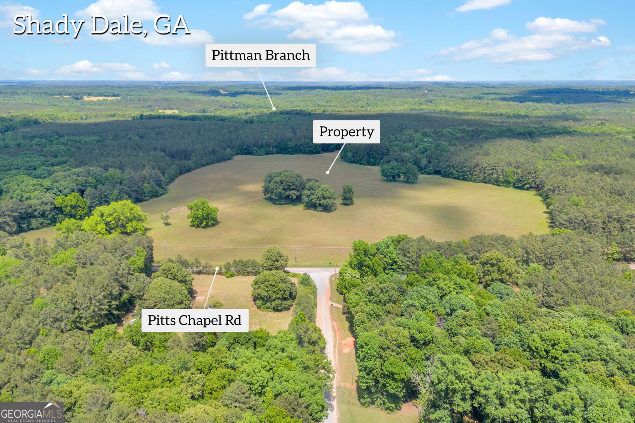 agriculture for sale at 0 Pitts Chapel, Newborn, GA 30056