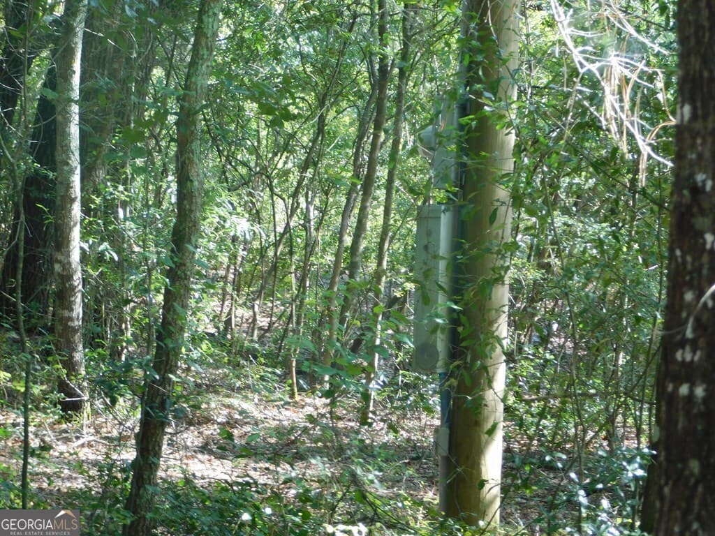 residential lot for sale at 239 River Moss Road, Reidsville, GA 30453 — photo 2