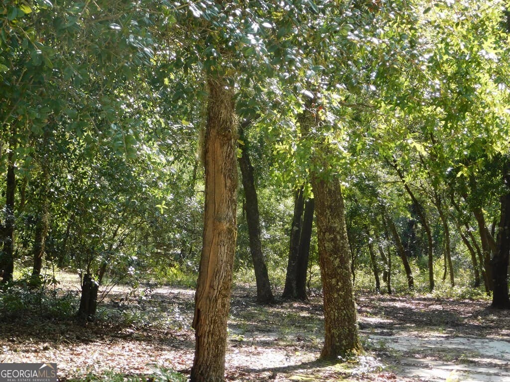 residential lot for sale at 239 River Moss Road, Reidsville, GA 30453 — photo 5