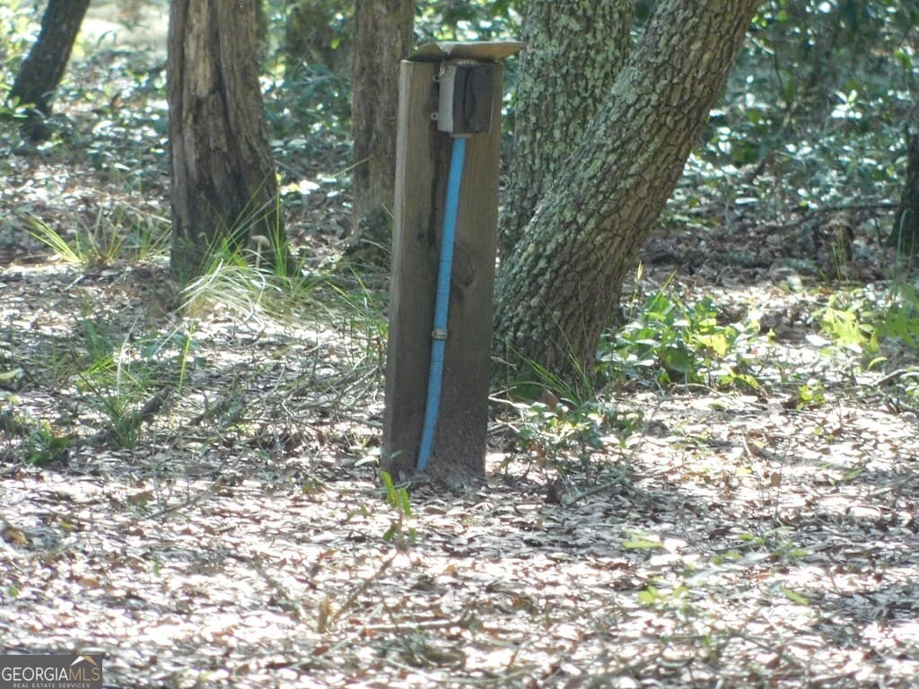 residential lot for sale at 239 River Moss Road, Reidsville, GA 30453 — photo 4