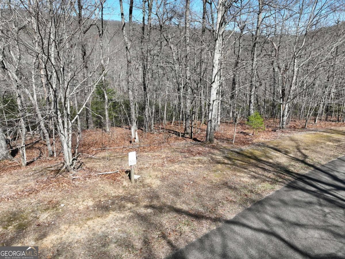 residential lot for sale at 206 Northview Parkway, Ellijay, GA 30536 — photo 9