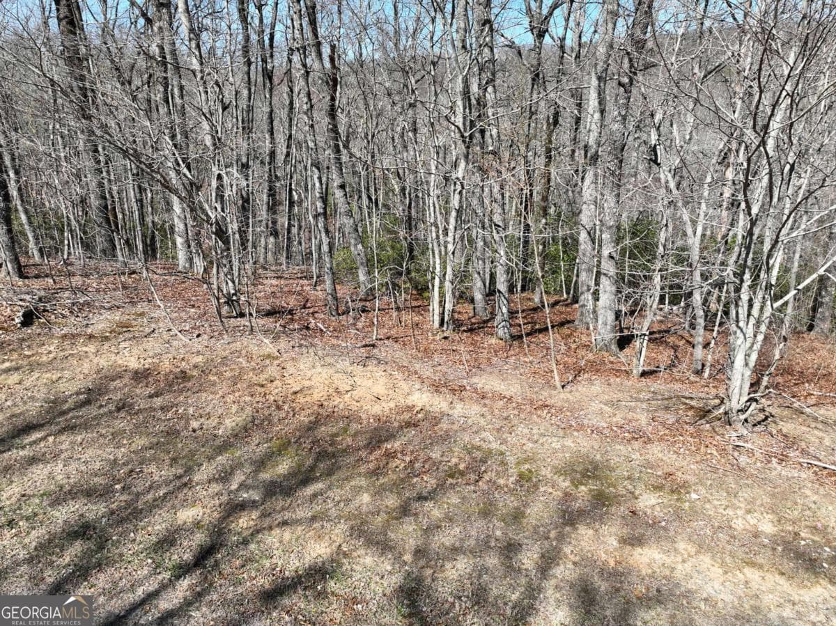 residential lot for sale at 206 Northview Parkway, Ellijay, GA 30536 — photo 10