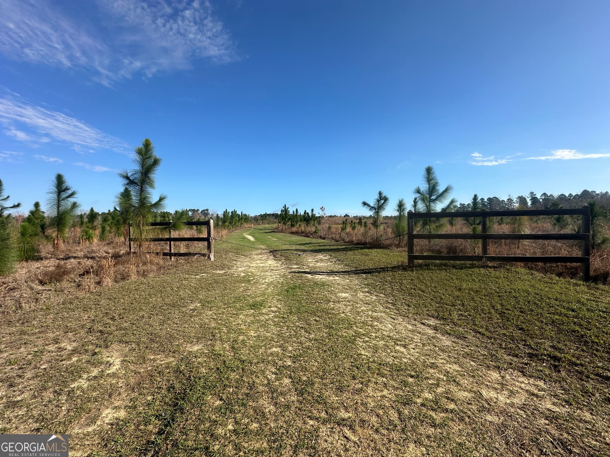 agriculture for sale at 1334 Shady Lane, Sylvania, GA 30467 — photo 2