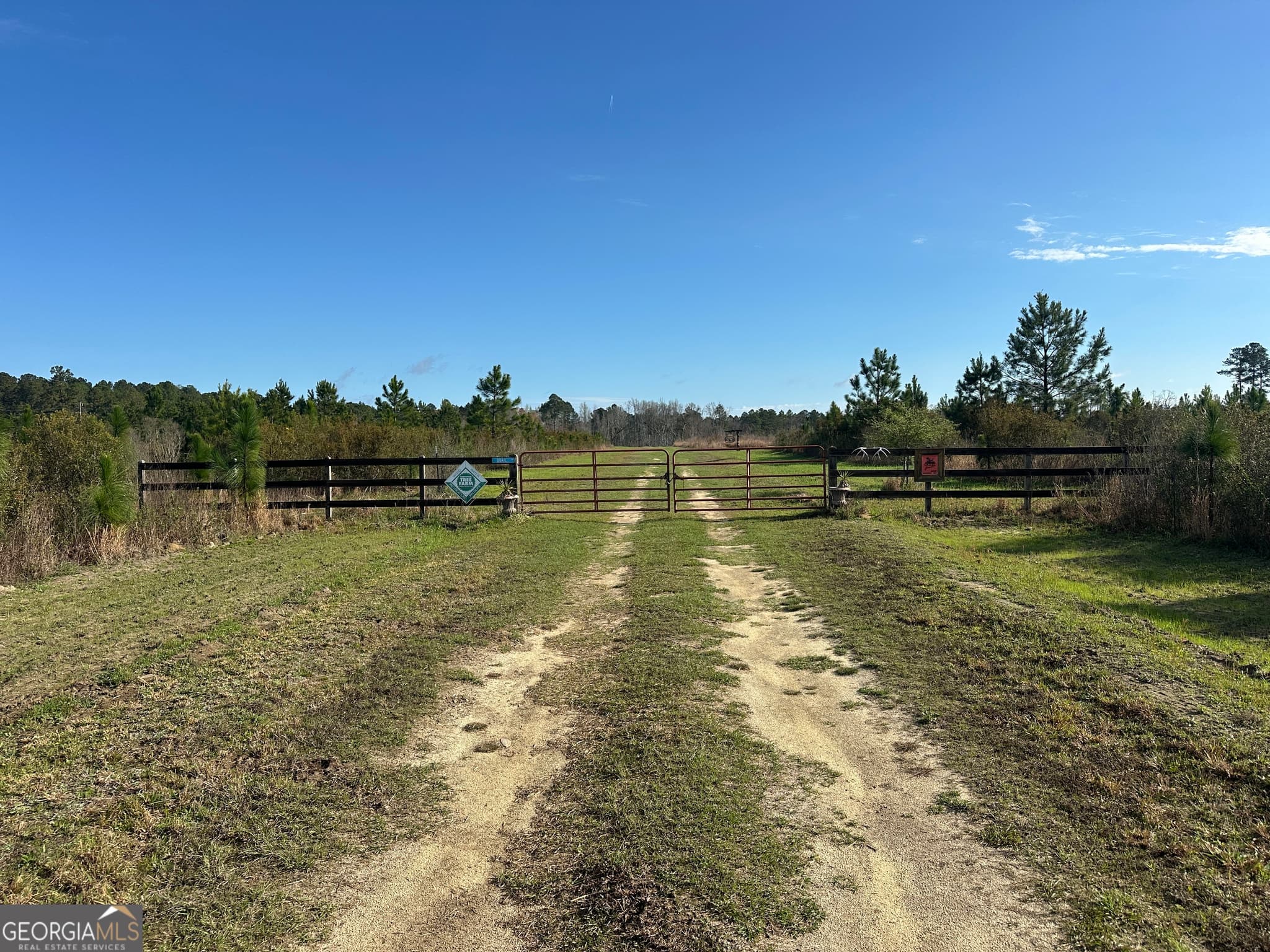 agriculture for sale at 1334 Shady Lane, Sylvania, GA 30467 — photo 3