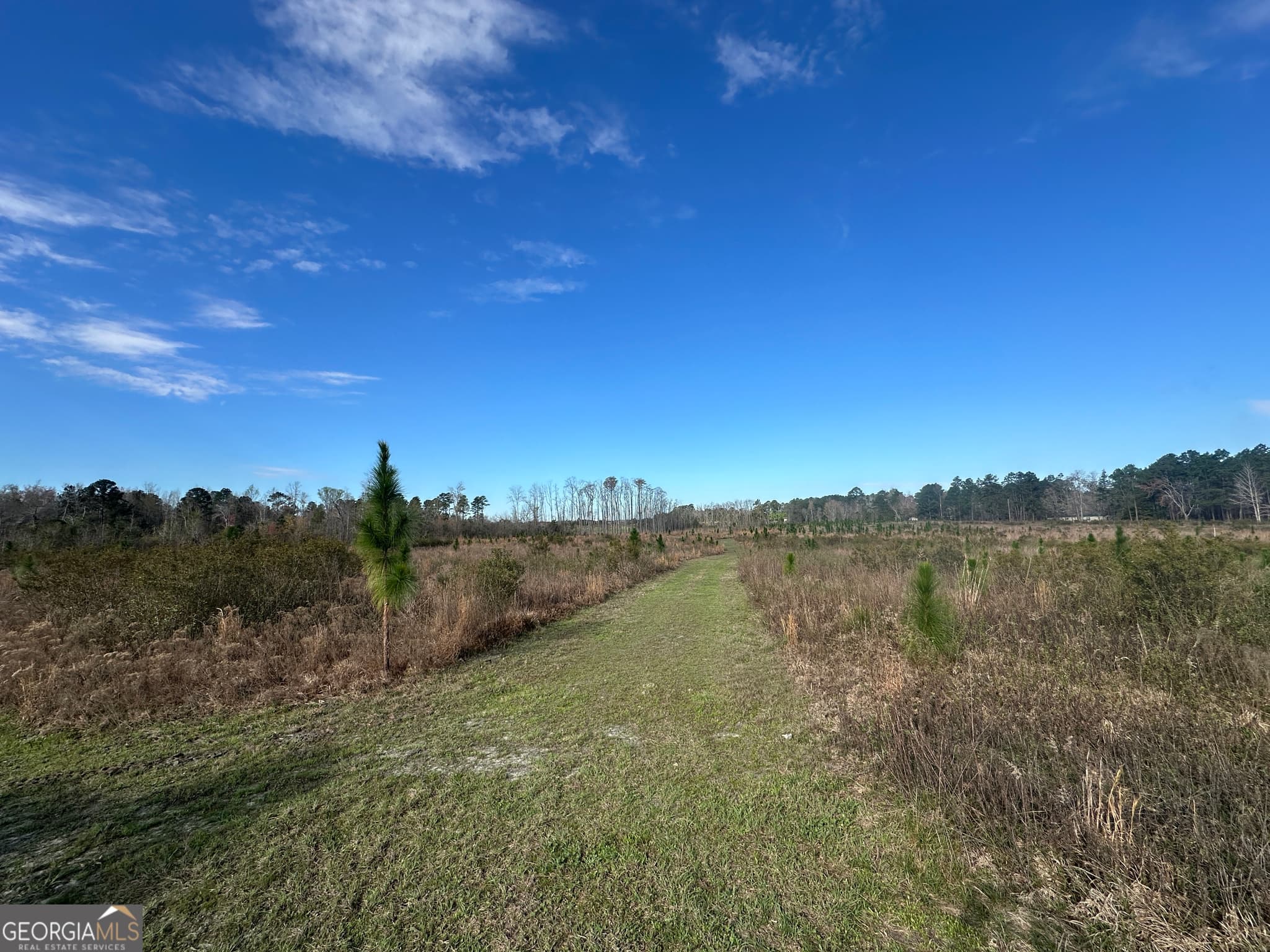 agriculture for sale at 1334 Shady Lane, Sylvania, GA 30467