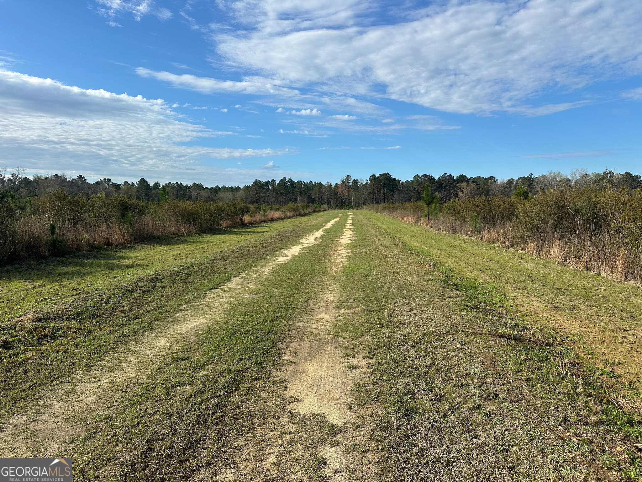 agriculture for sale at 1334 Shady Lane, Sylvania, GA 30467 — photo 4