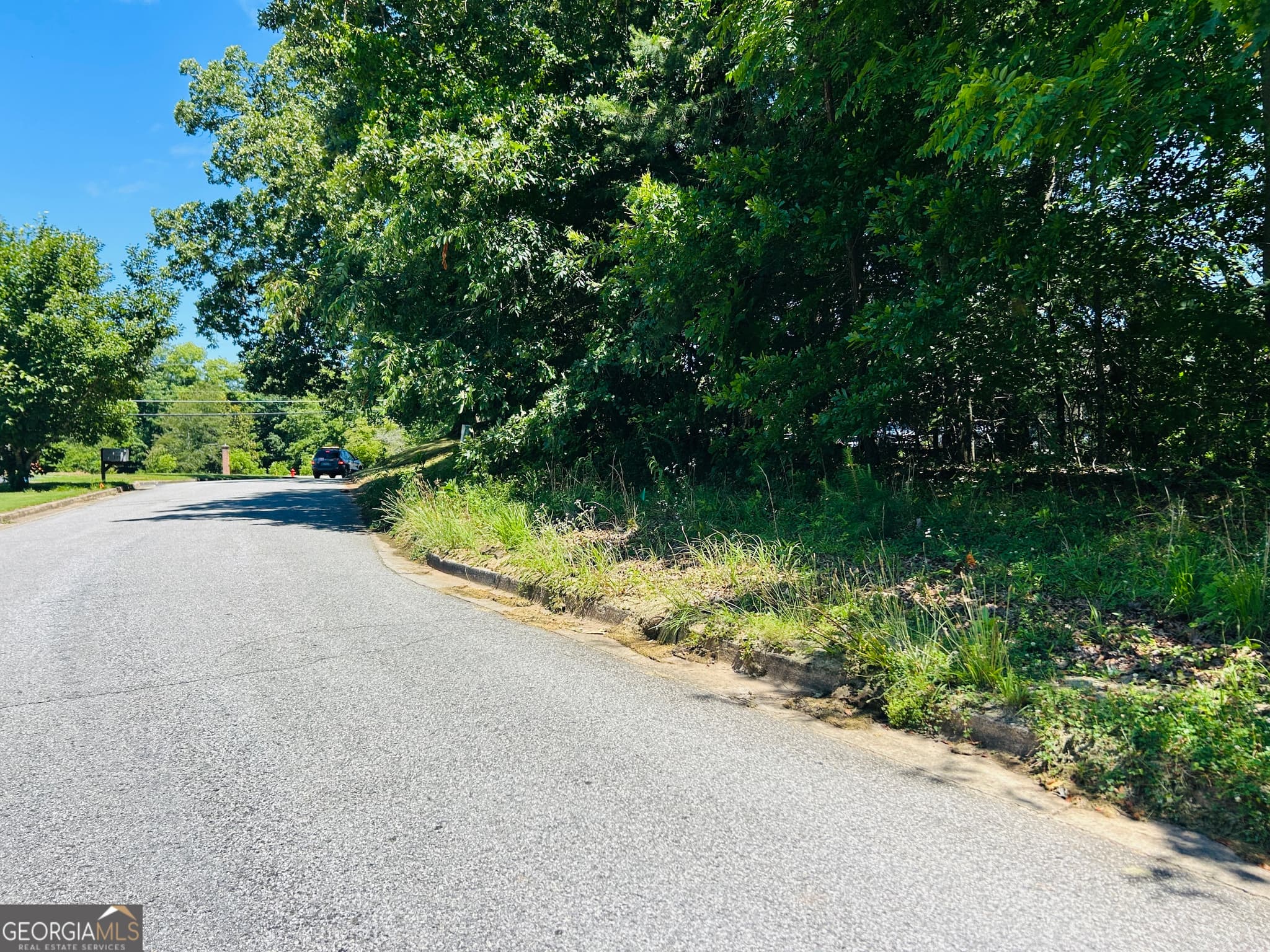 commercial for sale at 810 Austin Drive, Demorest, GA 30535 — photo 2