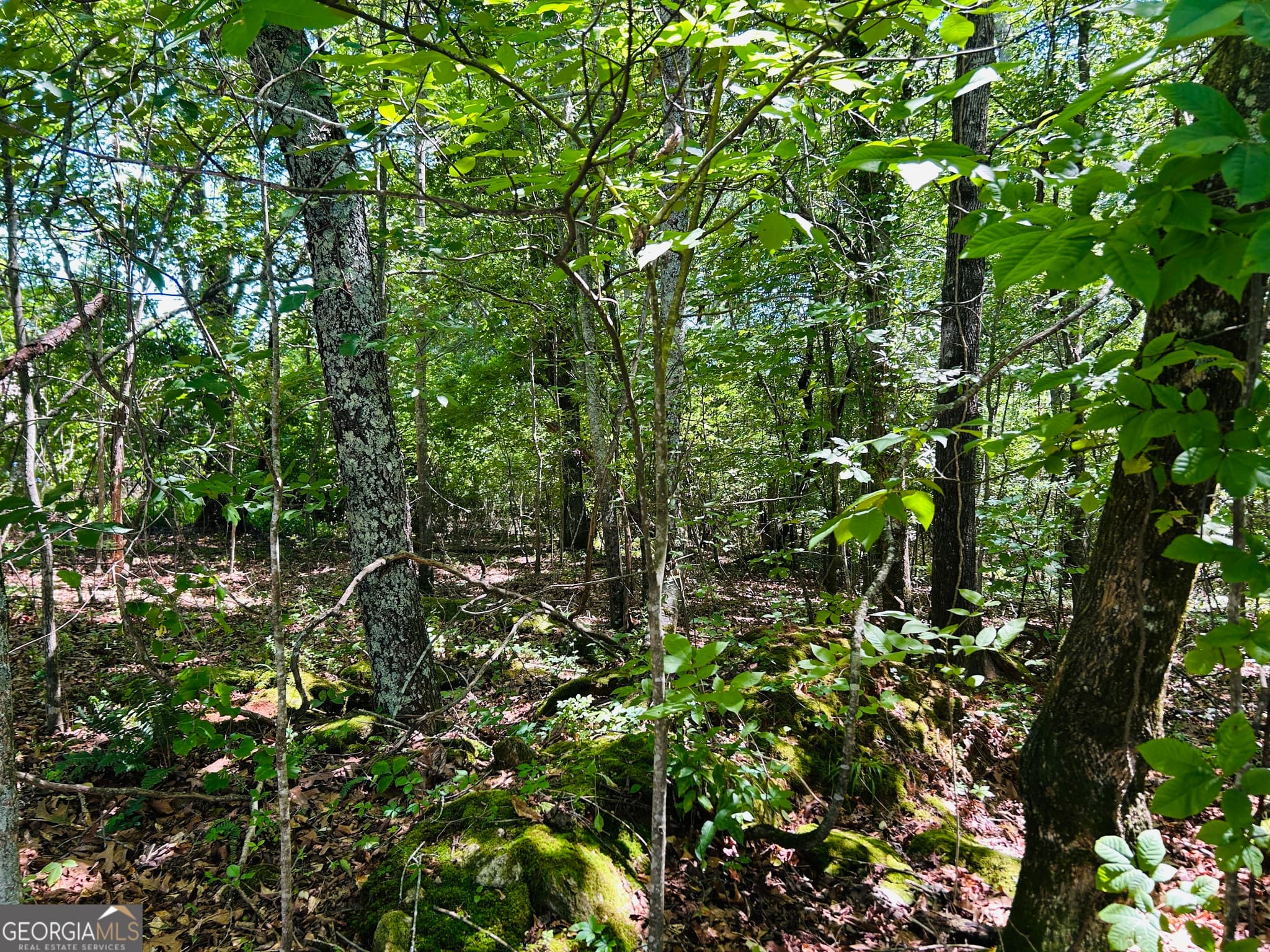 commercial for sale at 810 Austin Drive, Demorest, GA 30535 — photo 6