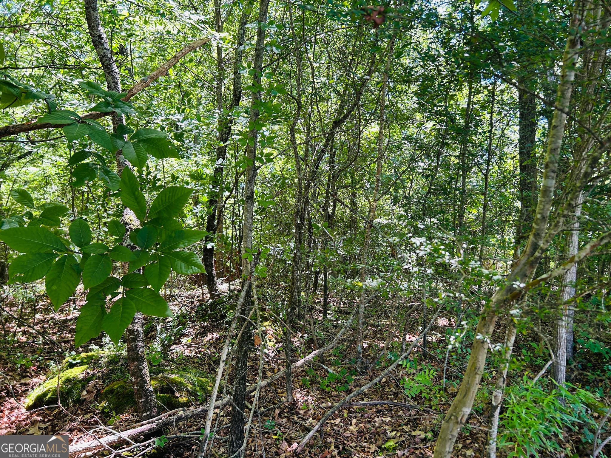 commercial for sale at 810 Austin Drive, Demorest, GA 30535 — photo 7
