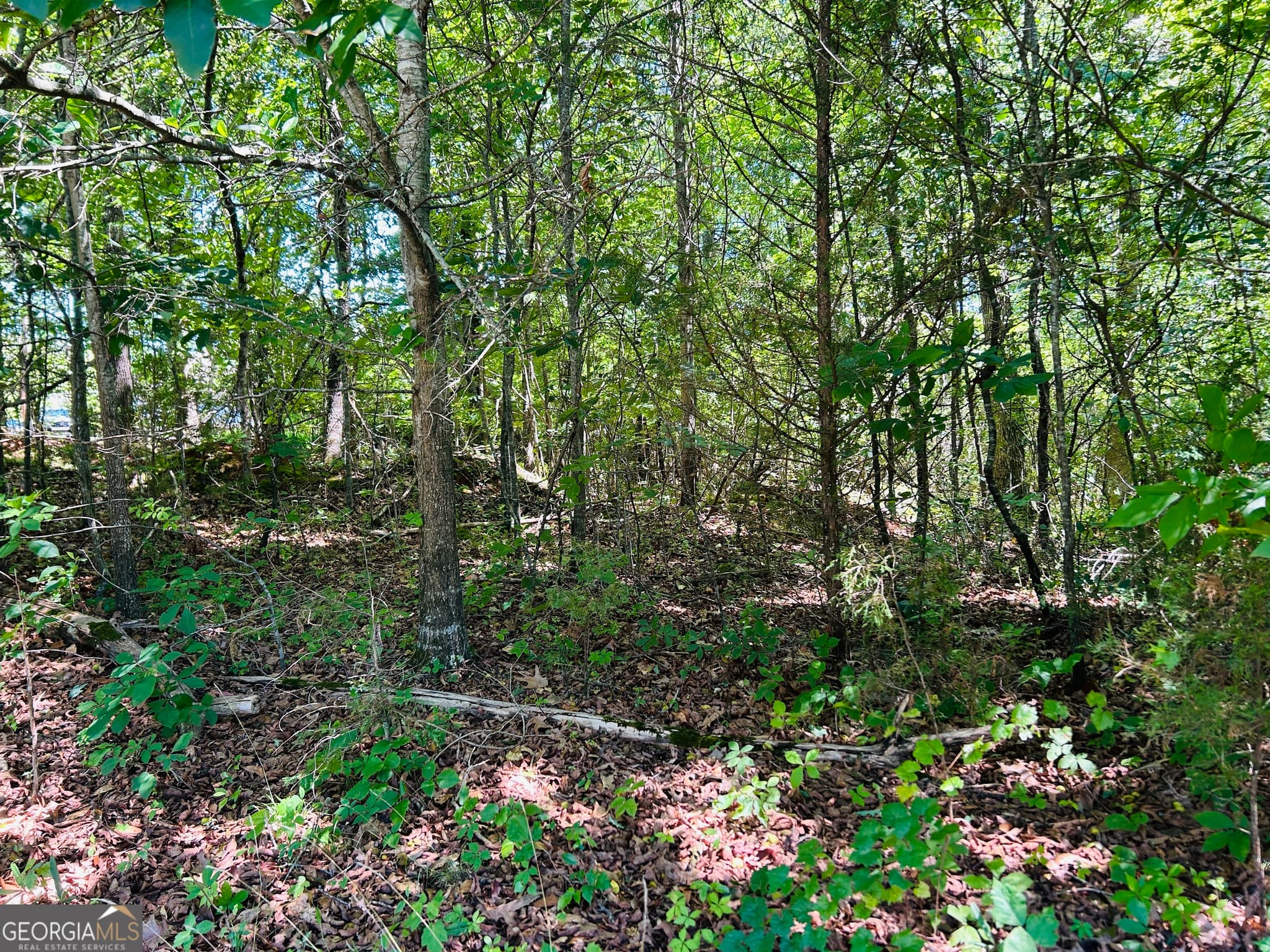 commercial for sale at 810 Austin Drive, Demorest, GA 30535 — photo 3
