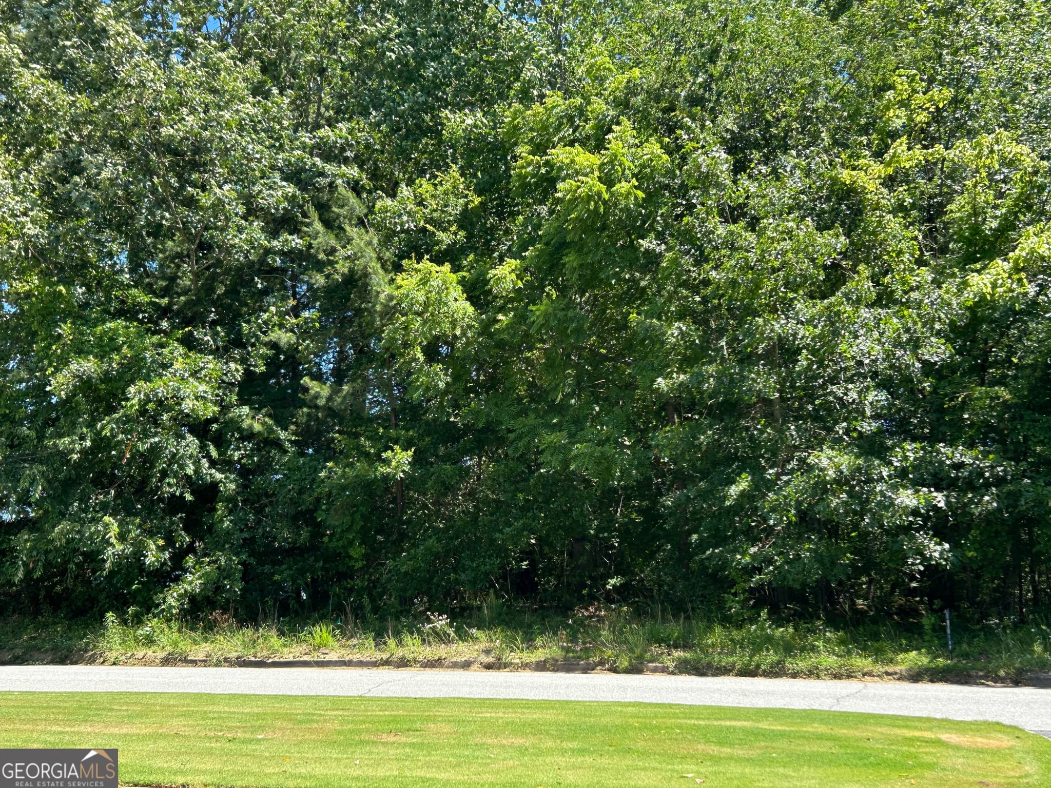 commercial for sale at 810 Austin Drive, Demorest, GA 30535 — photo 5