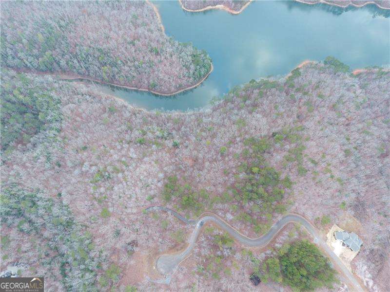 residential lot for sale at 0 Carters View Drive, Ellijay, GA 30540 — photo 5