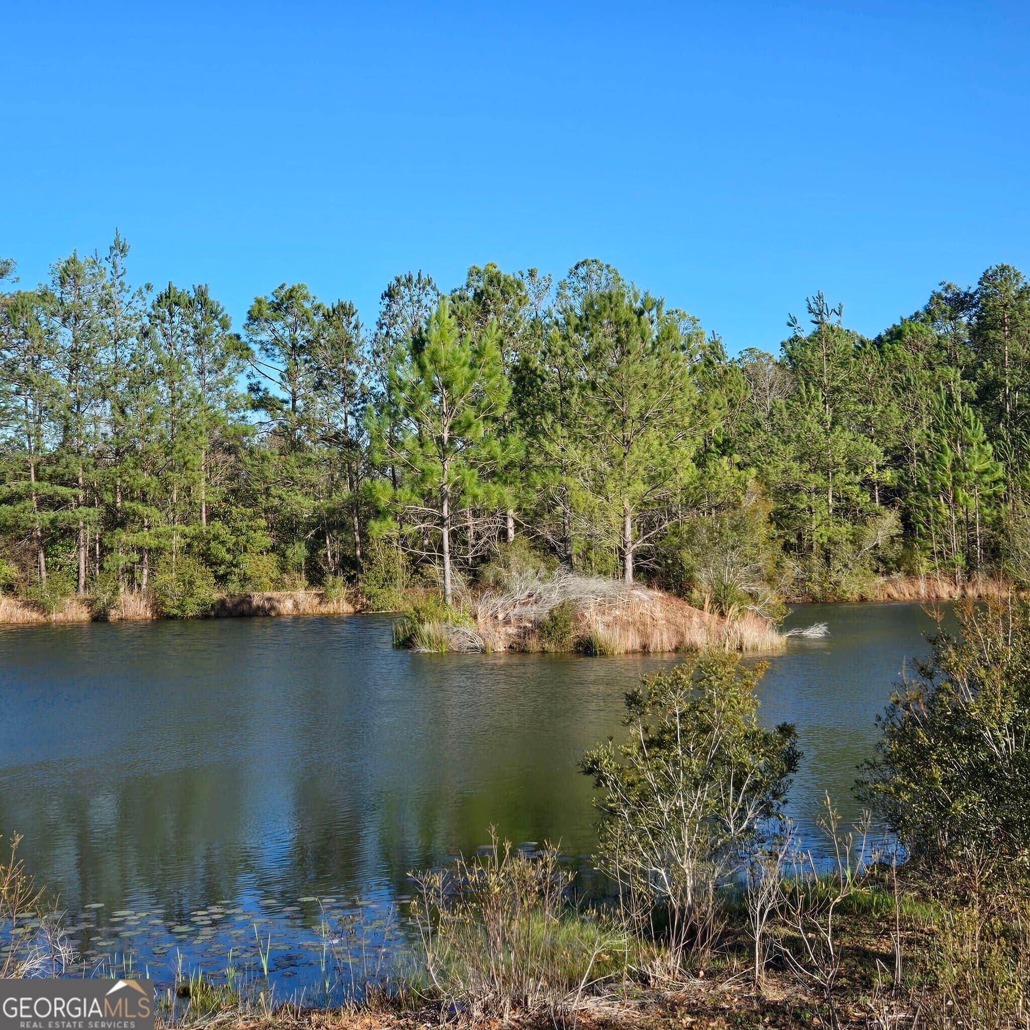 5 bedroom, 2 bathroom, 2,124 sq ft single family residence for sale at 2606 Beechwood Drive, Jesup, GA 31545 — photo 8