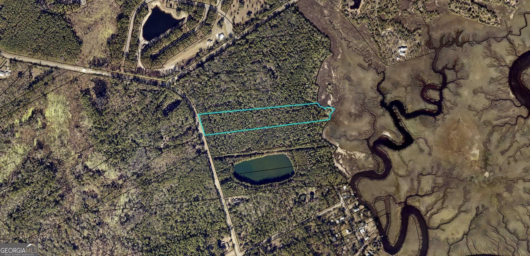 unimproved land for sale at 0 Dover Bluff Road, Waverly, GA 31565 — photo 2