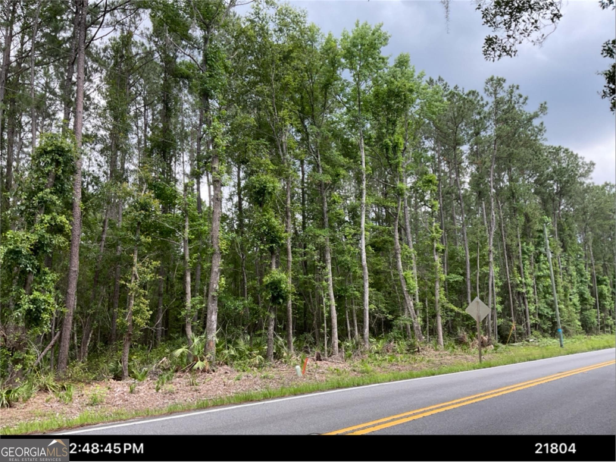 unimproved land for sale at 0 Dover Bluff Road, Waverly, GA 31565 — photo 3