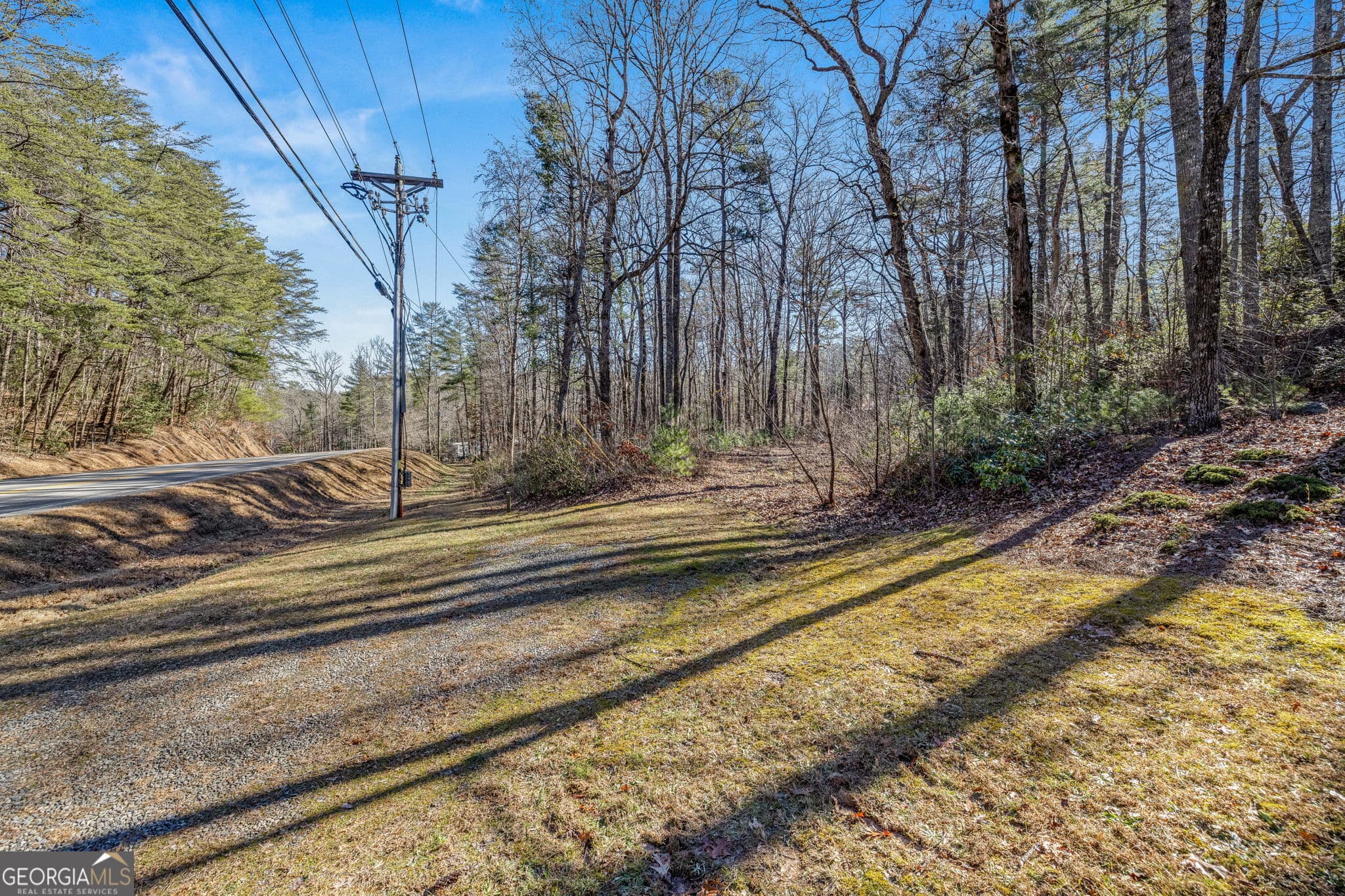 unimproved land for sale at 0 Highway 356, Helen, GA 30545 — photo 6