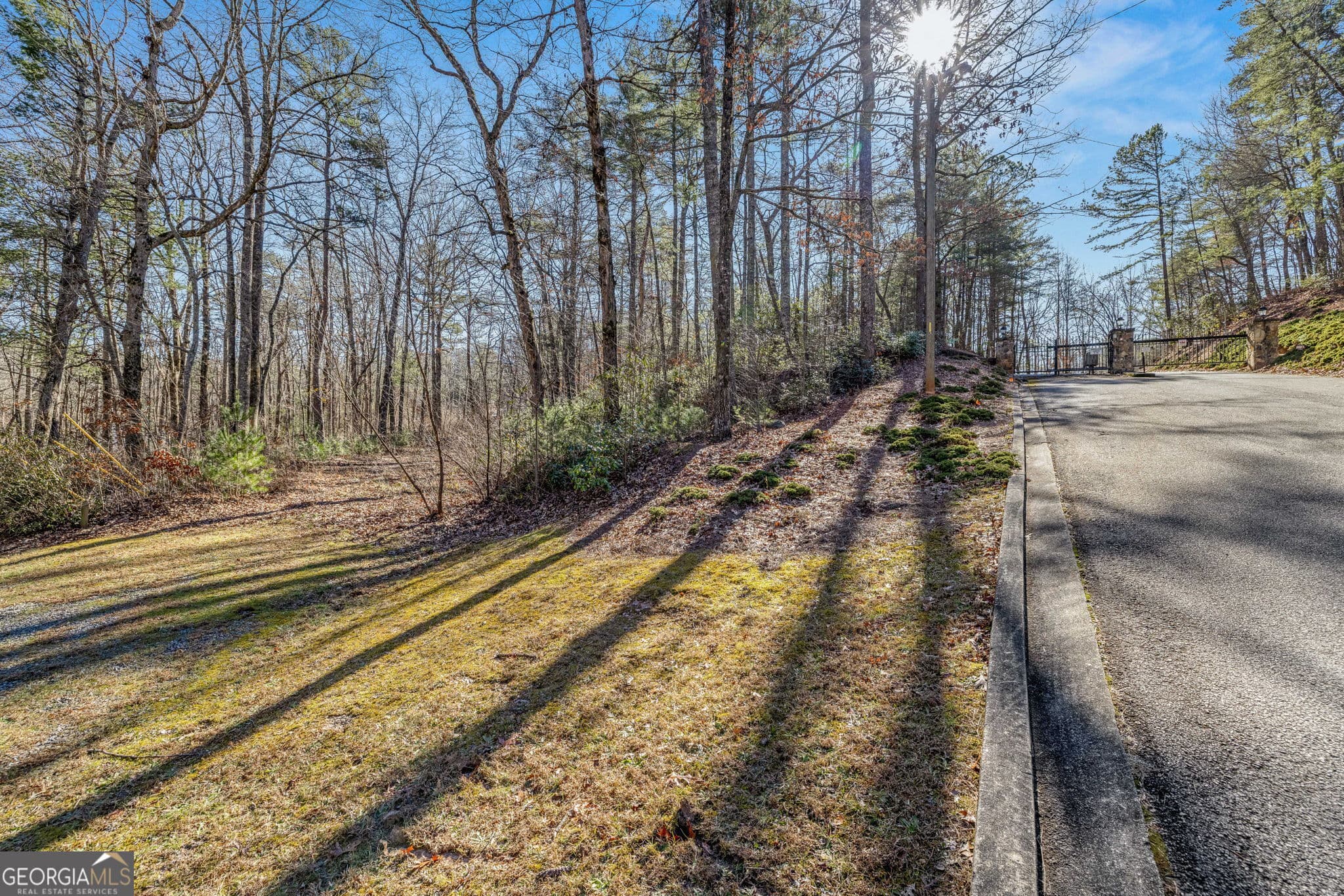 unimproved land for sale at 0 Highway 356, Helen, GA 30545 — photo 7