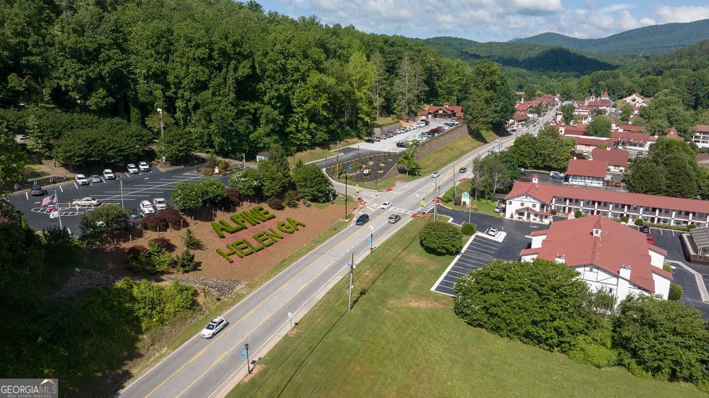 unimproved land for sale at 0 Highway 356, Helen, GA 30545 — photo 5