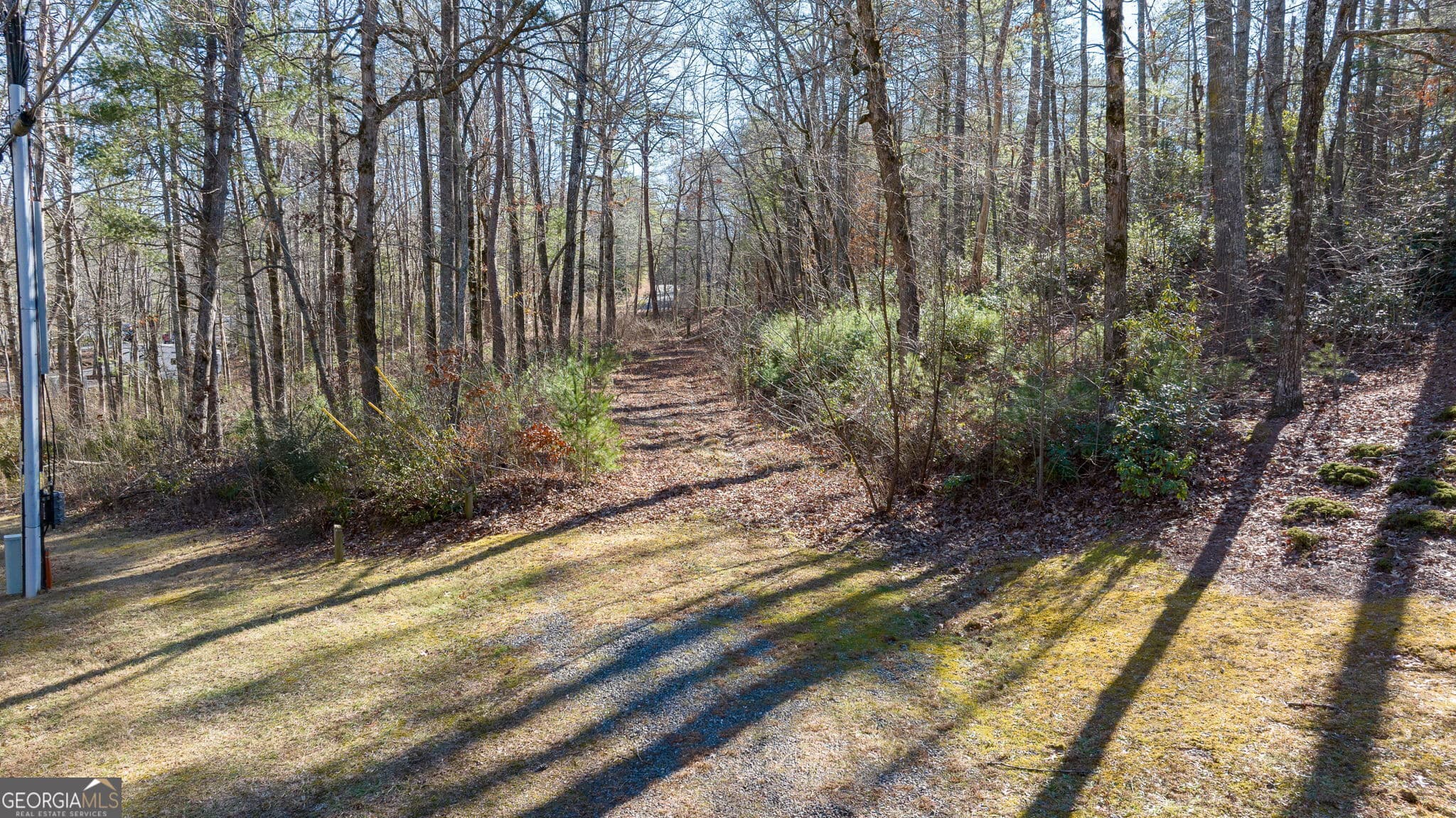 unimproved land for sale at 0 Highway 356, Helen, GA 30545 — photo 10