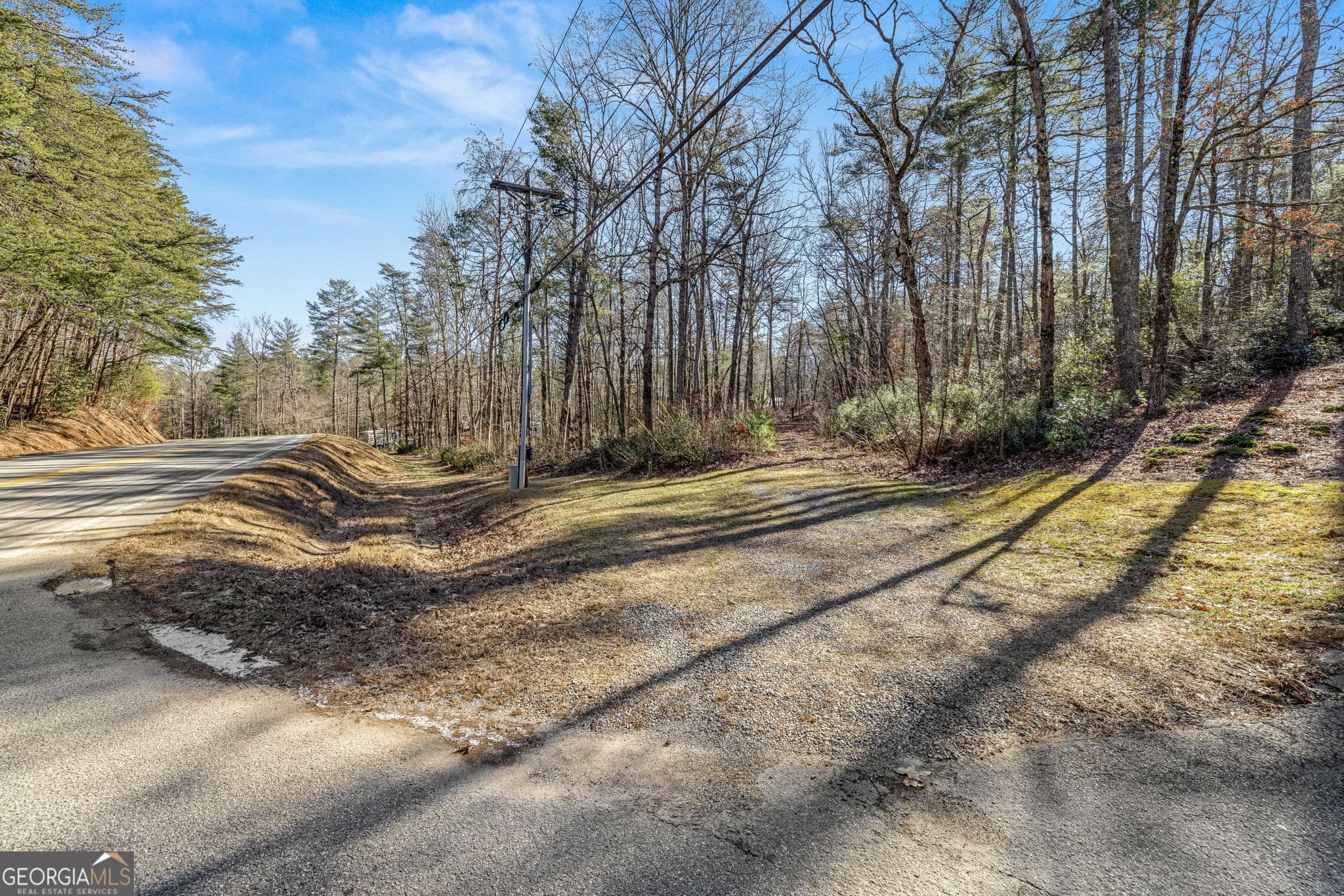 unimproved land for sale at 0 Highway 356, Helen, GA 30545 — photo 8