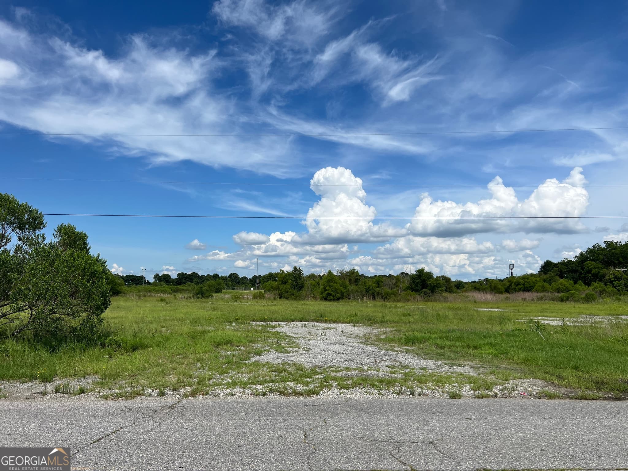 unimproved land for sale at 250 Pig Jig Boulevard, Vienna, GA 31092 — photo 2