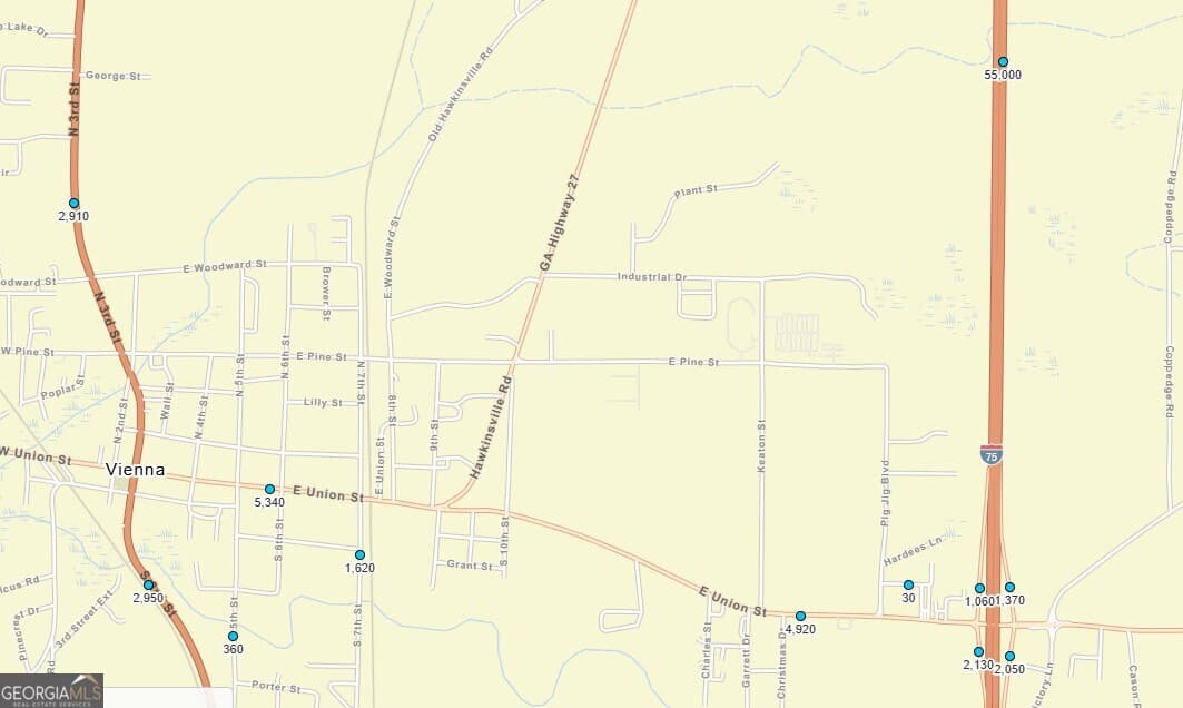 unimproved land for sale at 250 Pig Jig Boulevard, Vienna, GA 31092 — photo 3