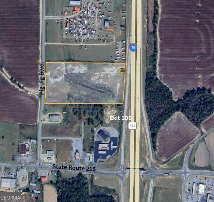 unimproved land for sale at 250 Pig Jig Boulevard, Vienna, GA 31092