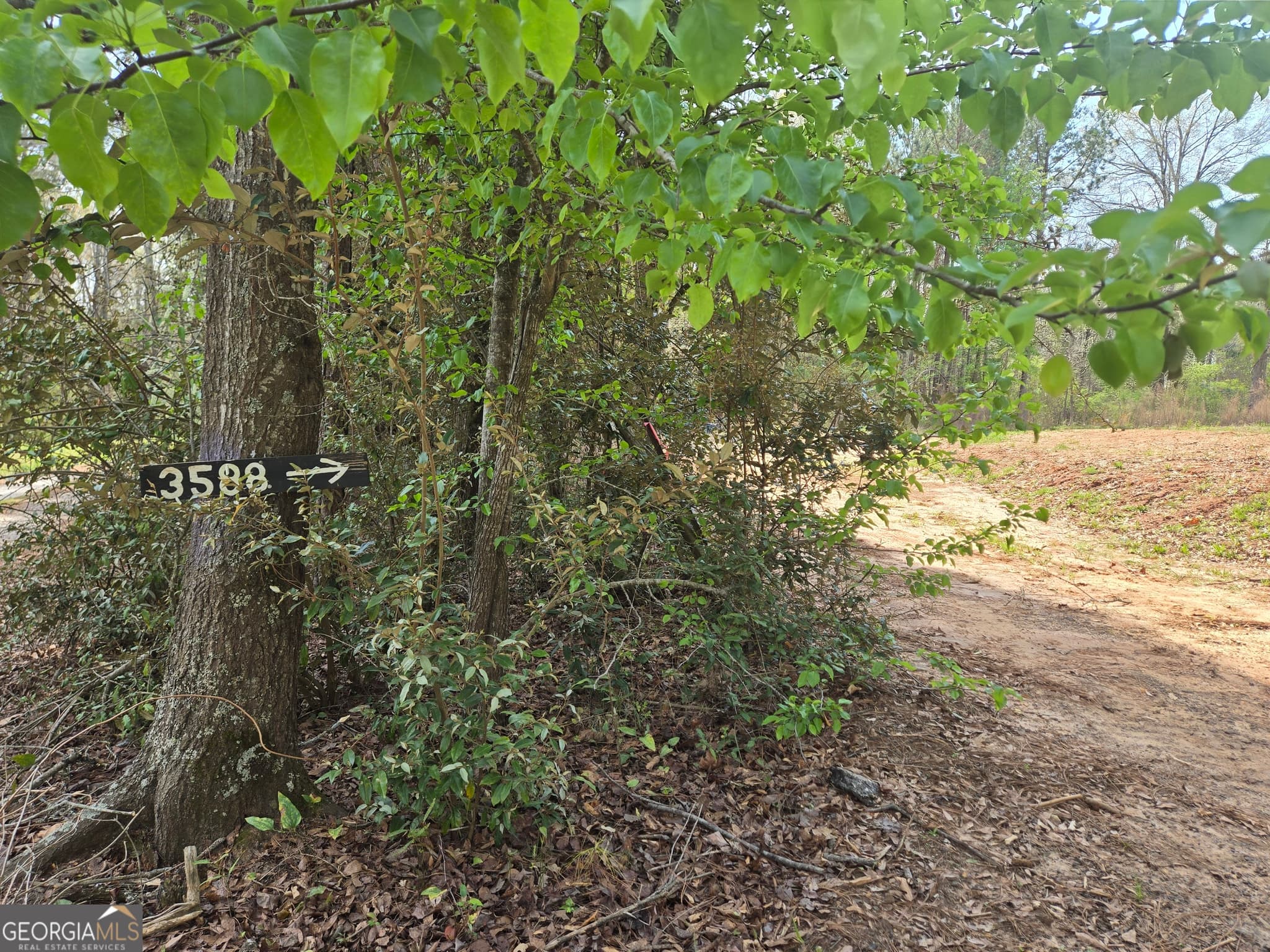 residential lot for sale at 3588 W Ellis Road, Griffin, GA 30223 — photo 2