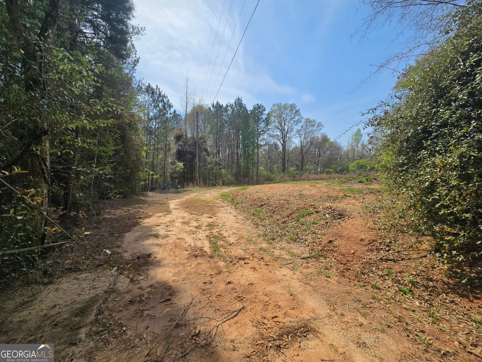 residential lot for sale at 3588 W Ellis Road, Griffin, GA 30223 — photo 3