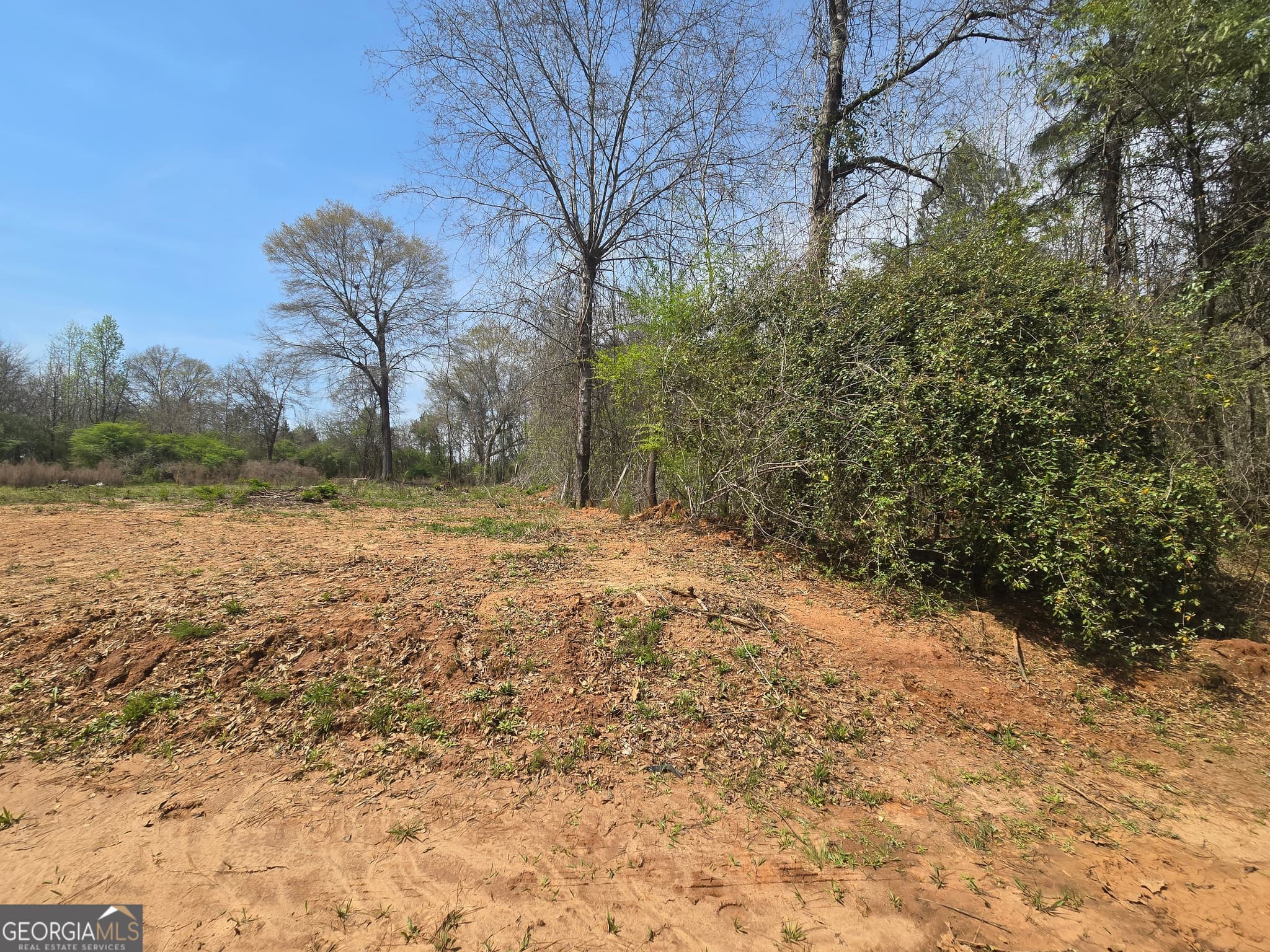 residential lot for sale at 3588 W Ellis Road, Griffin, GA 30223 — photo 5
