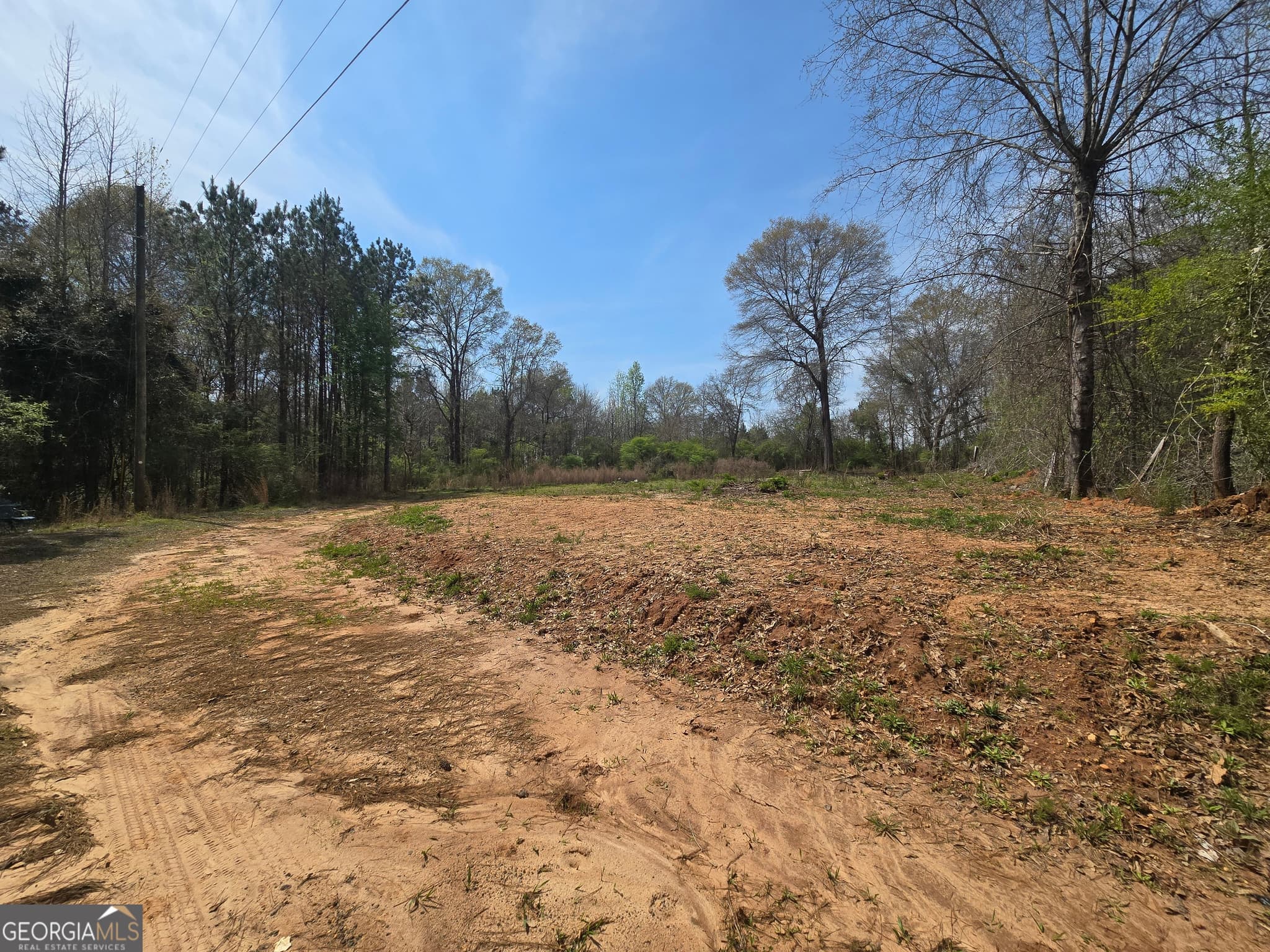 residential lot for sale at 3588 W Ellis Road, Griffin, GA 30223 — photo 4
