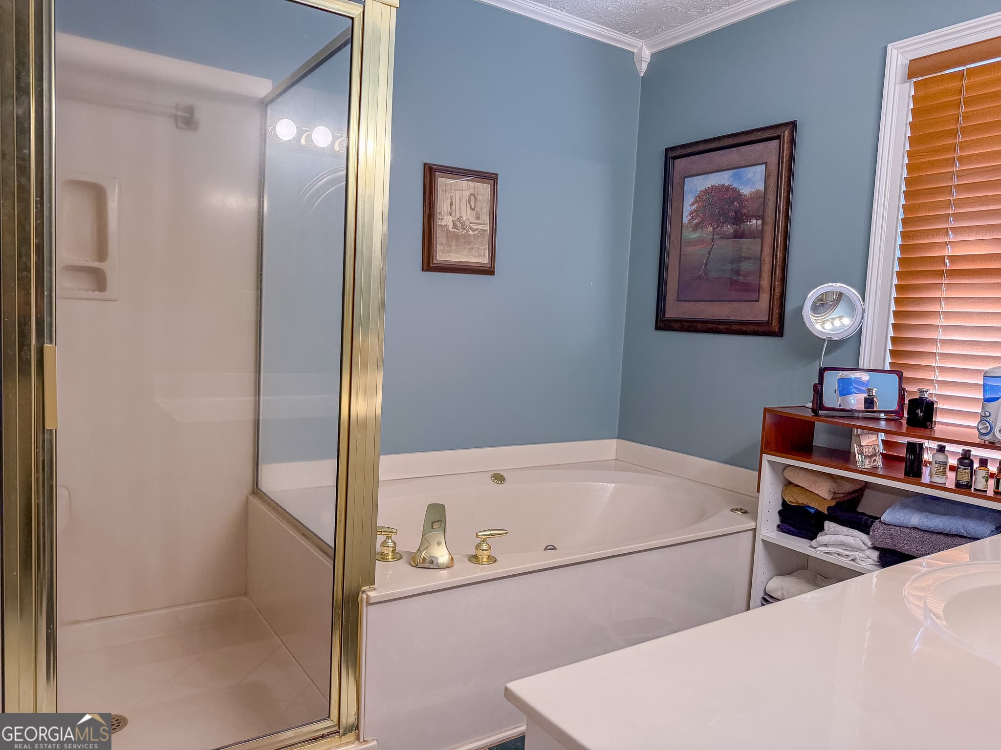 3 bedroom, 3.5 bathroom, 3,231 sq ft cabin,farm for sale at 1003 Ga Highway 27, Americus, GA 31709 — photo 9