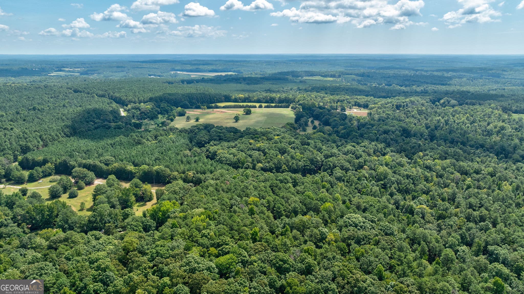 estate lot for sale at 0 Middlebrooks Road, Watkinsville, GA 30677 — photo 6