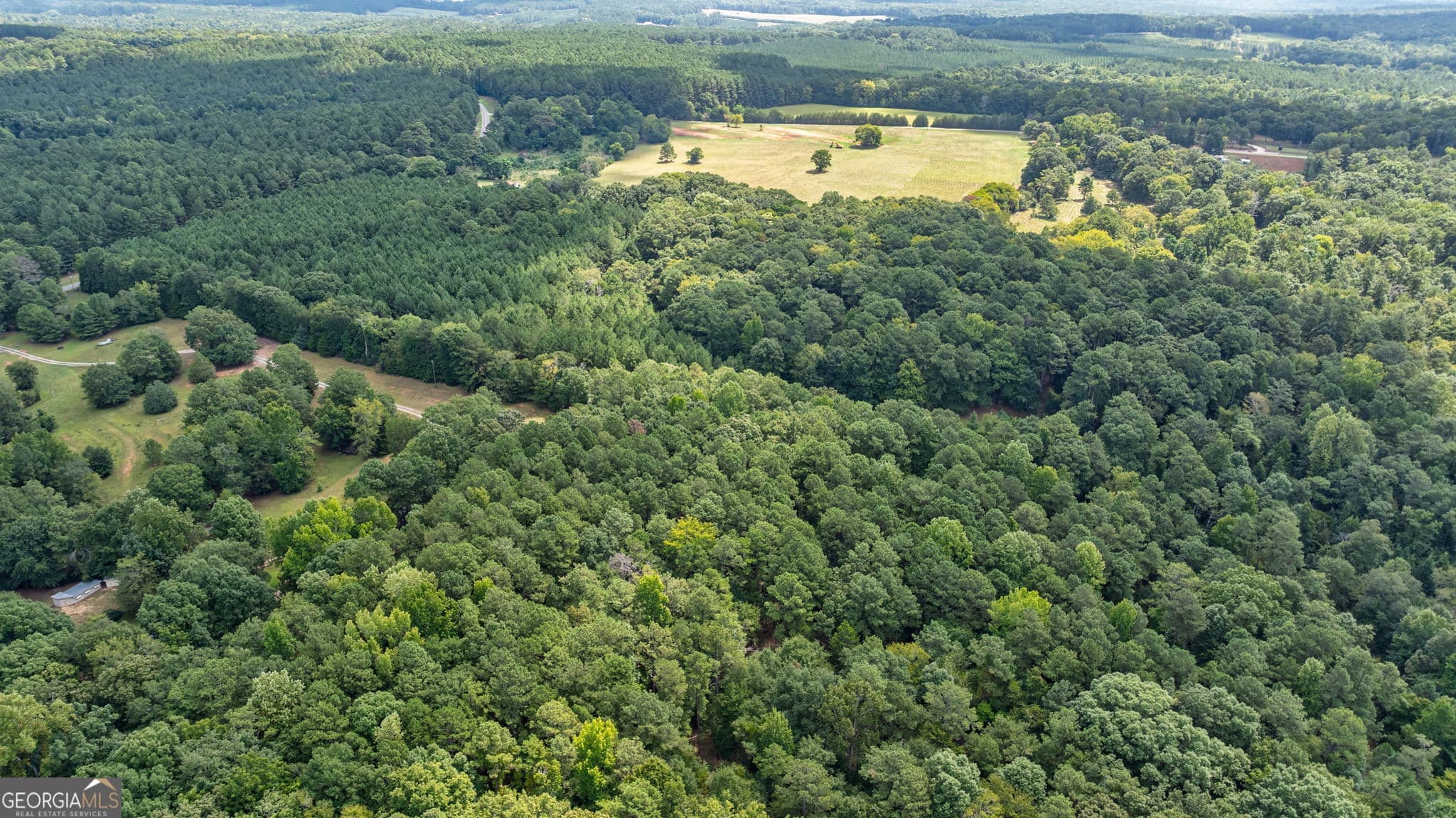 estate lot for sale at 0 Middlebrooks Road, Watkinsville, GA 30677 — photo 7