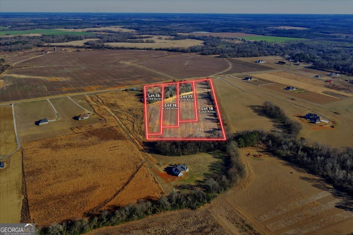 agriculture for sale at 2587 (LOT 17) Elko Road, Elko, GA 31025 — photo 3