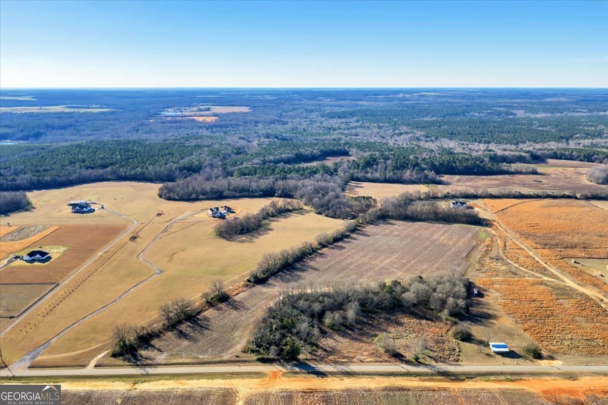 agriculture for sale at 2587 (LOT 17) Elko Road, Elko, GA 31025 — photo 4