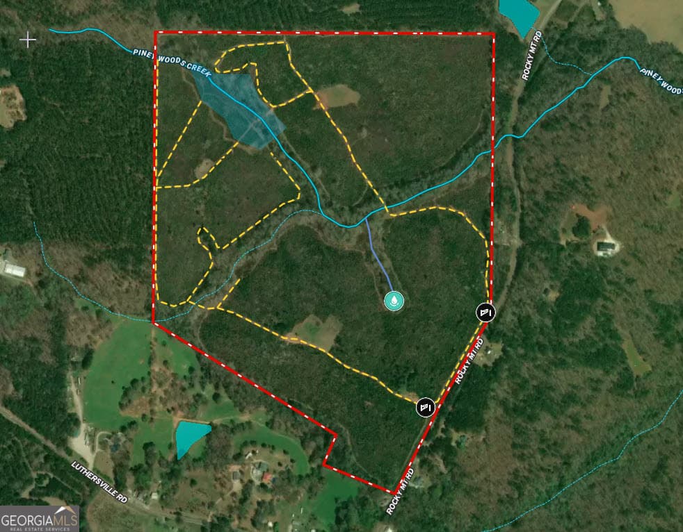 unimproved land for sale at 178.235 AC Rocky Mount Road, Luthersville, GA 30251 — photo 2