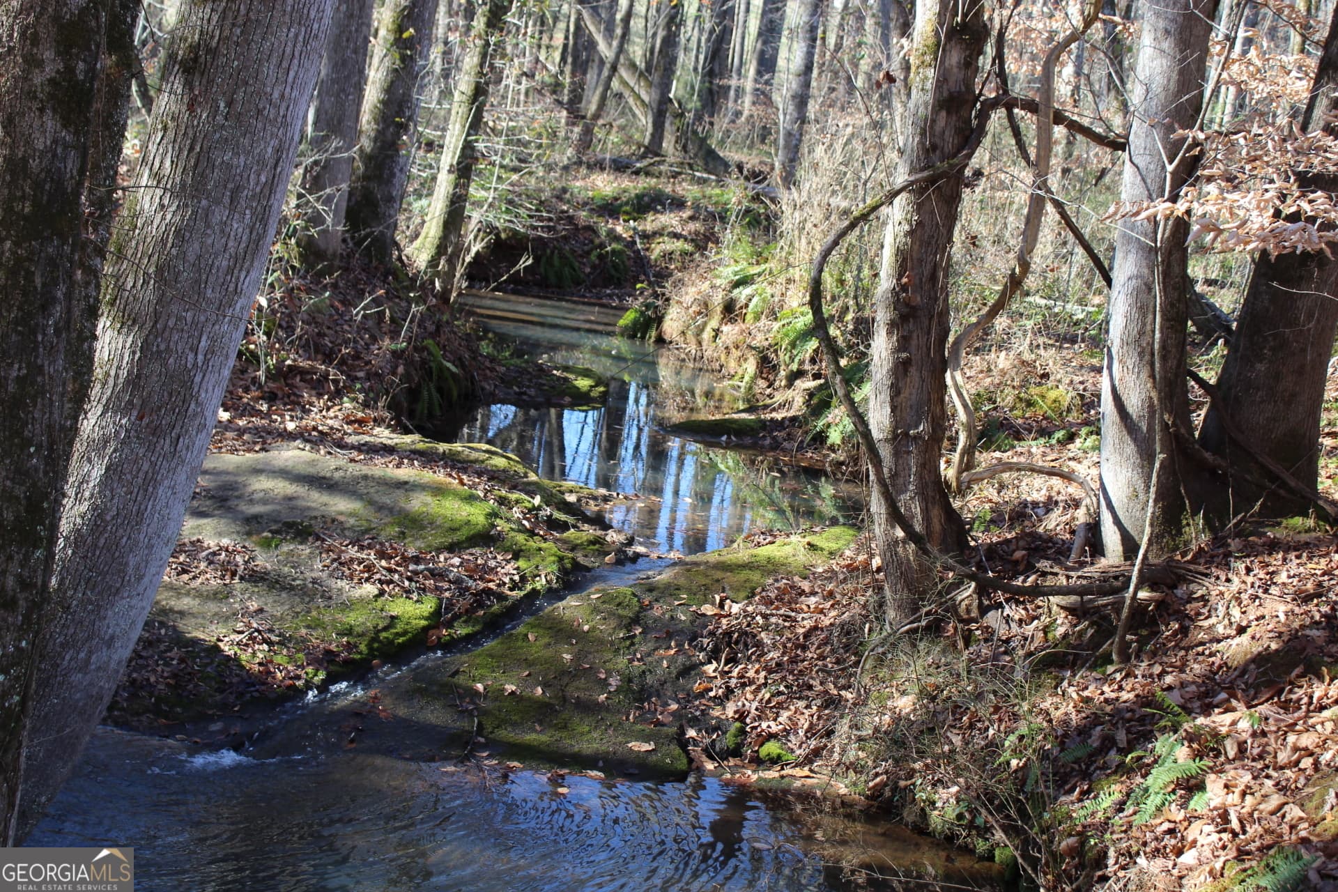unimproved land for sale at 178.235 AC Rocky Mount Road, Luthersville, GA 30251 — photo 7